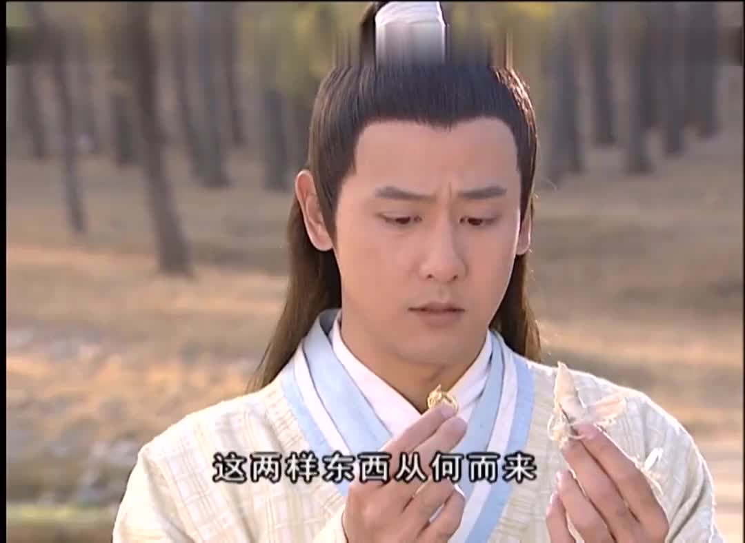 安幼舆和小鹿子的一世情缘