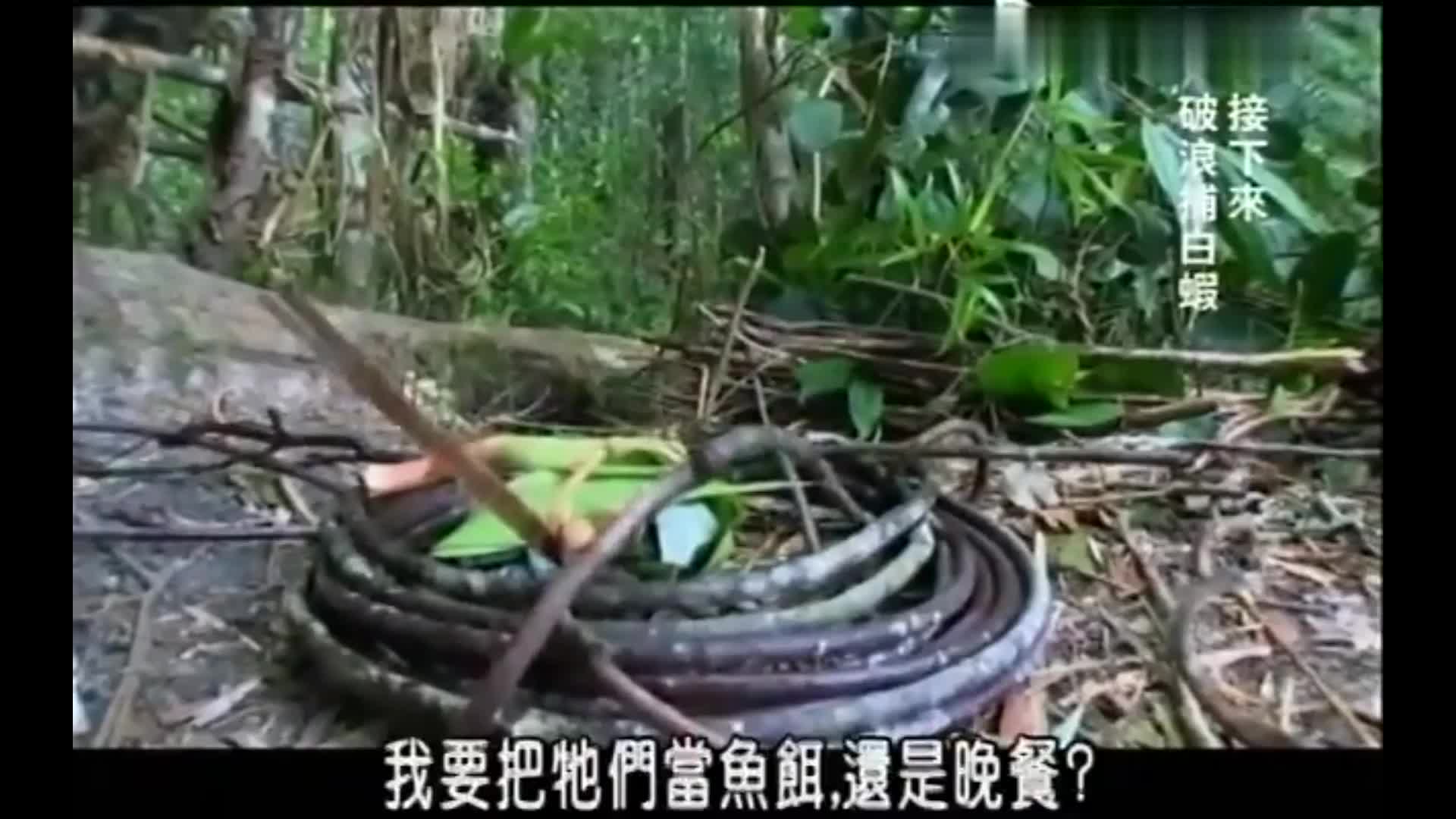看德爷单挑荒野绝境！