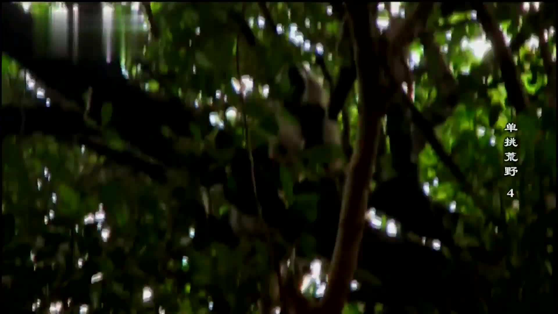 看德爷单挑荒野绝境！