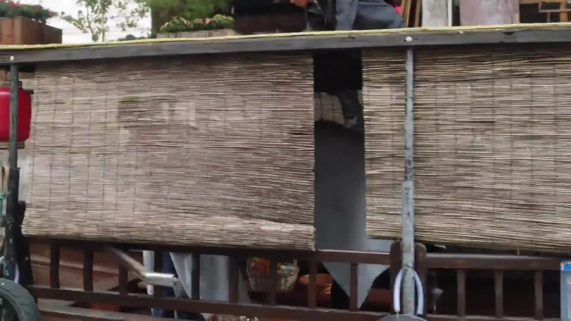 王漫妮，揭秘上海富婆圈