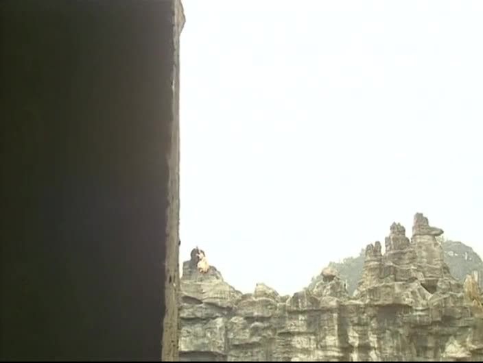 聂风大战步惊云