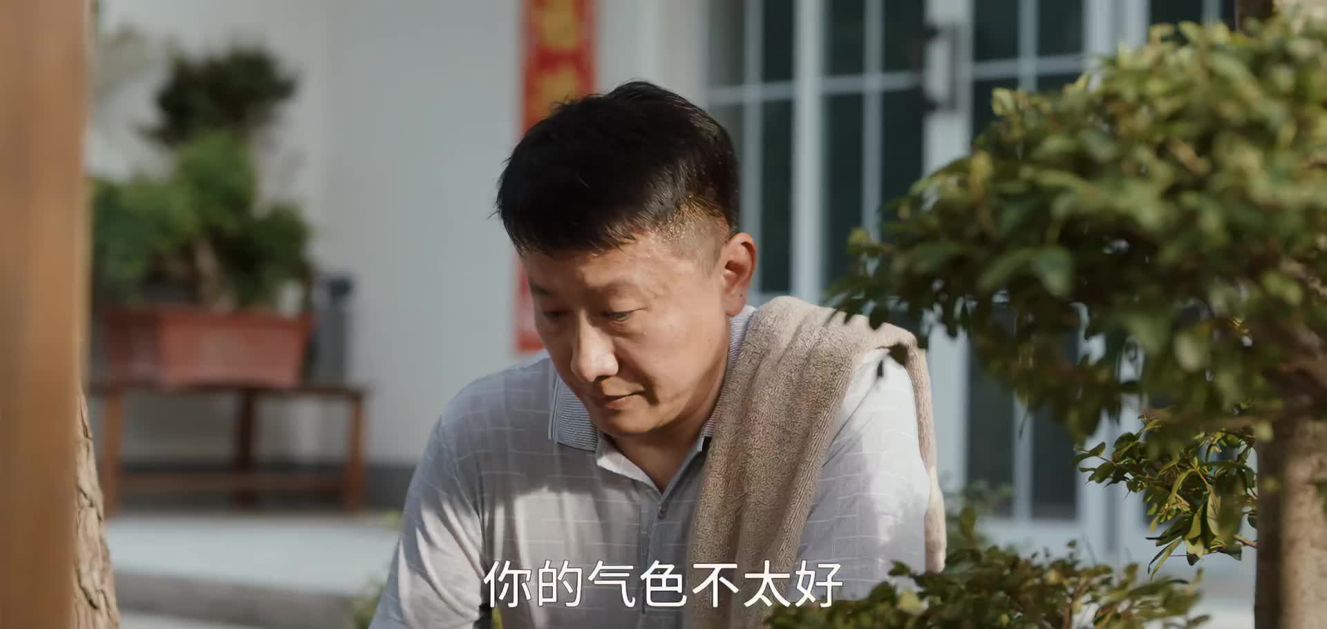 梅晓歌 大院的故事