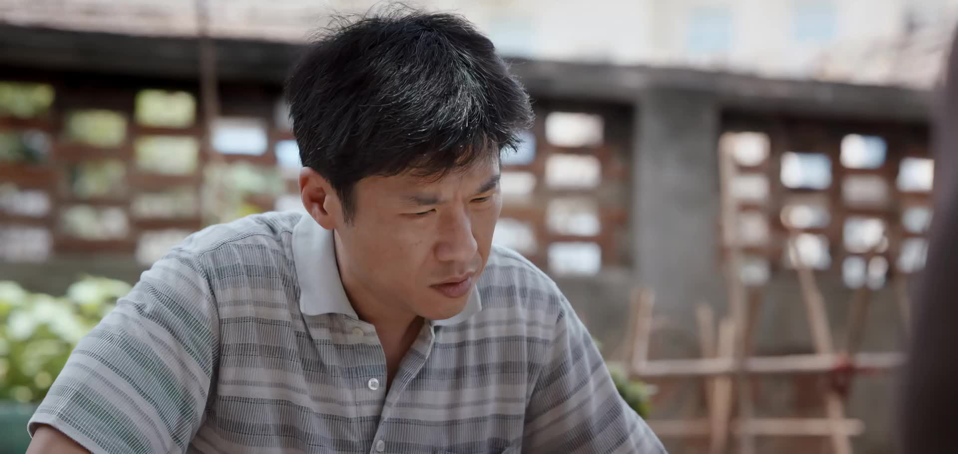 梅晓歌 大院的故事