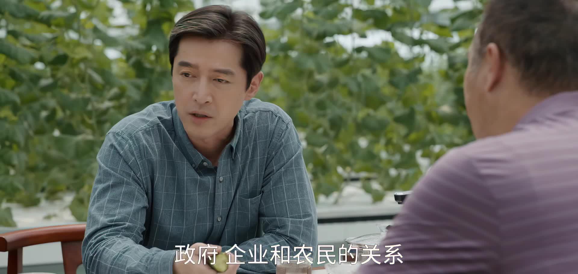 梅晓歌 大院的故事