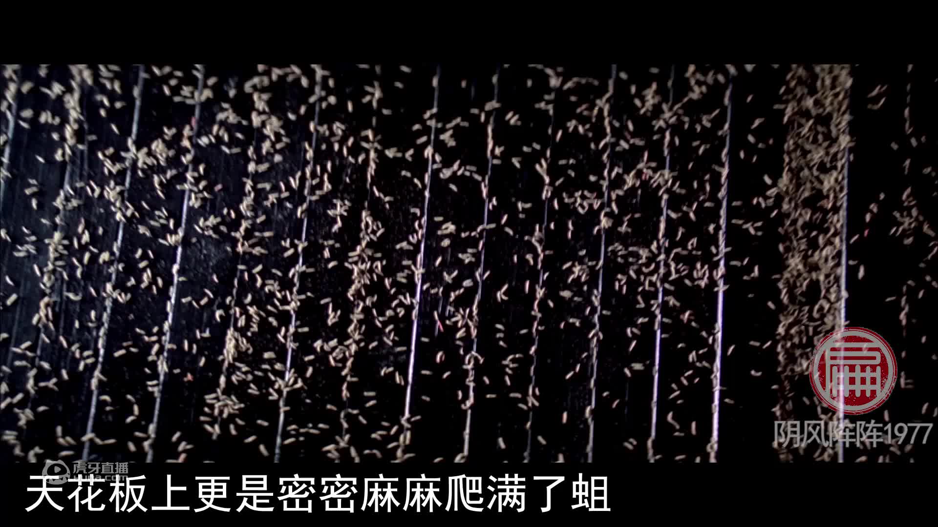 《阴风阵阵1977》42年前尺度很大的恐怖片