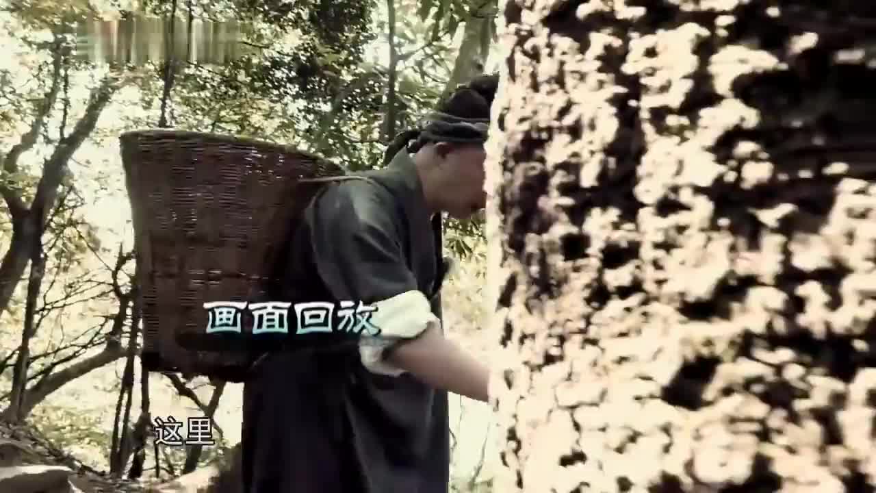 沈腾宋小宝综艺的神~千万别吃饭的时候看 笑吐！