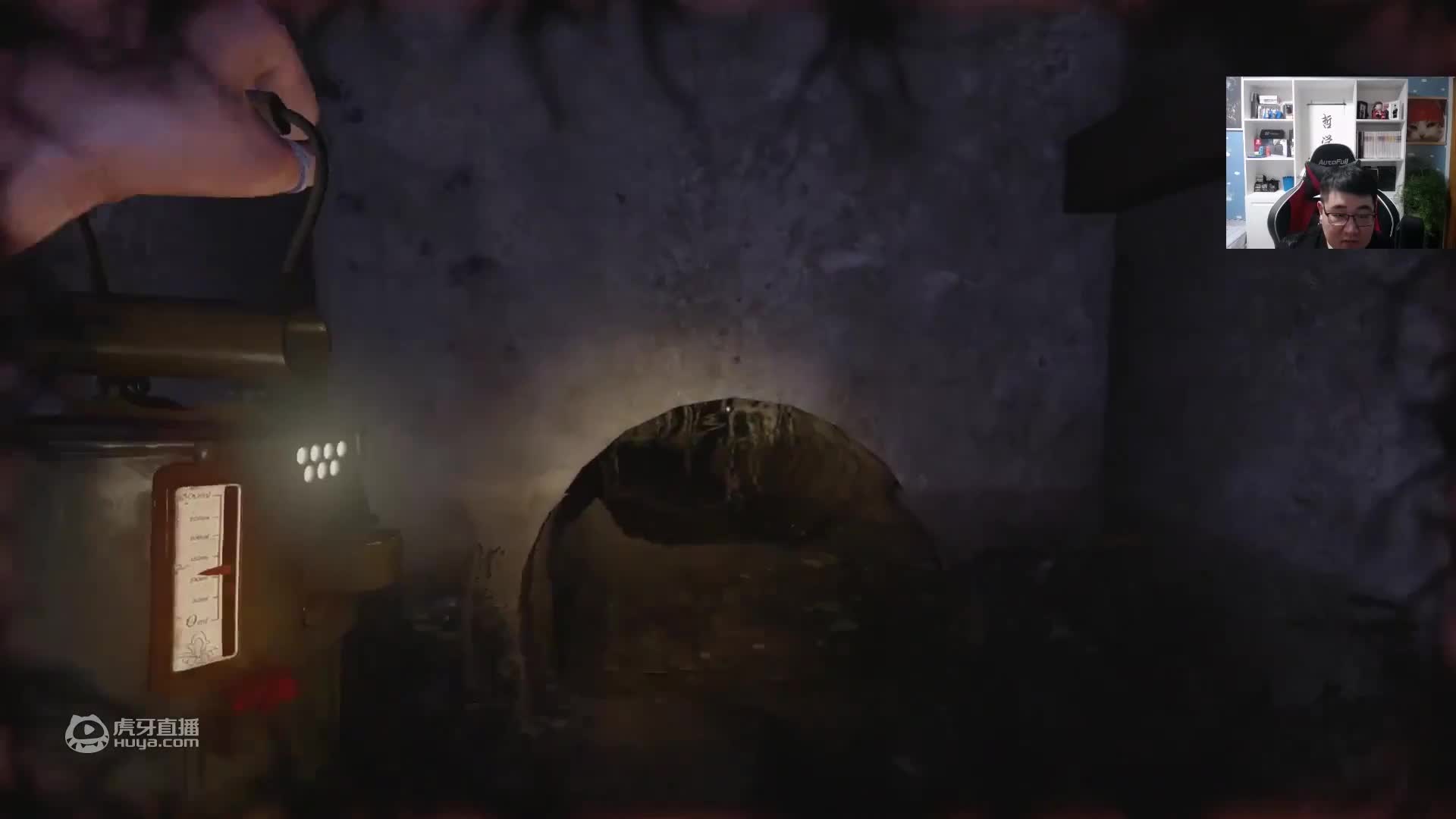 欢迎来到失忆症重生的直播间