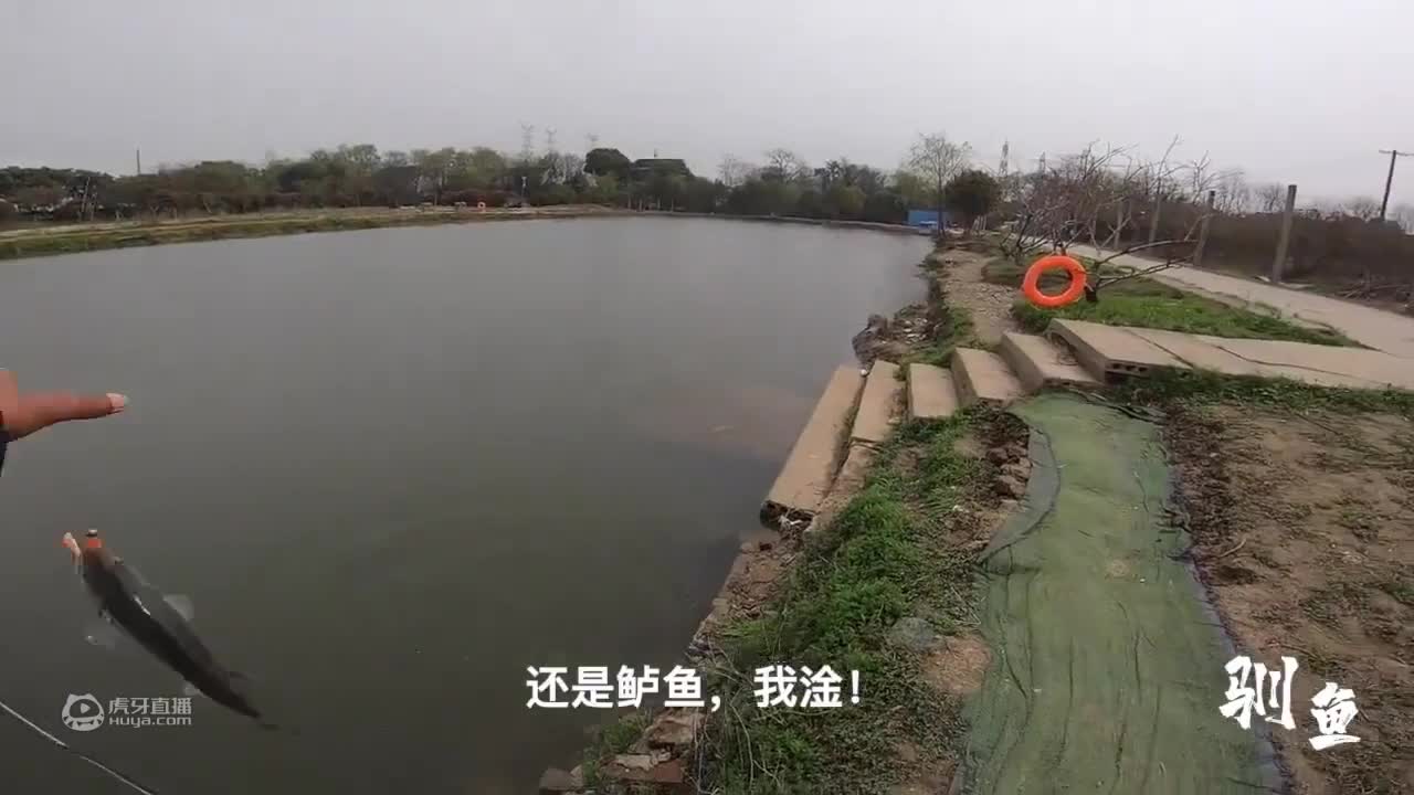 【驯鱼日记】第16集：几块钱的假饵，竟然翘嘴五连杆，看傻黑坑老板！