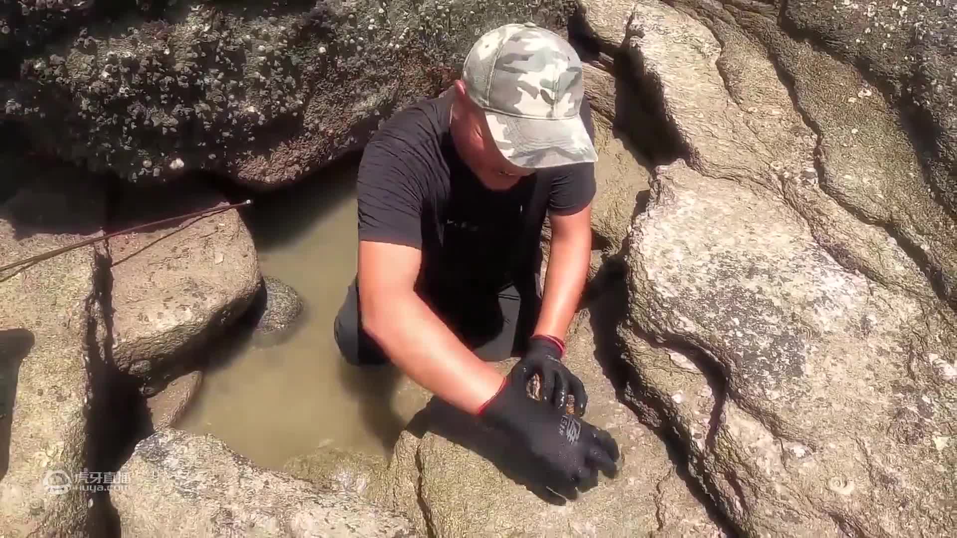 欢迎来到吴哥赶海的直播间