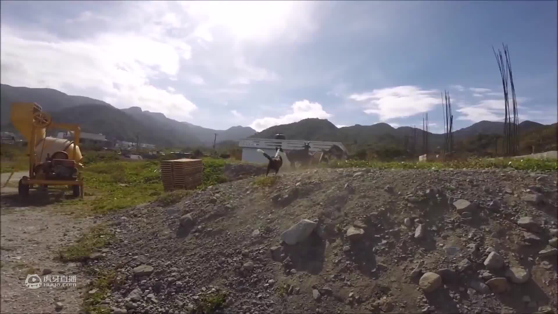 潜水时遇上海蛇，真是一次不错的体验！