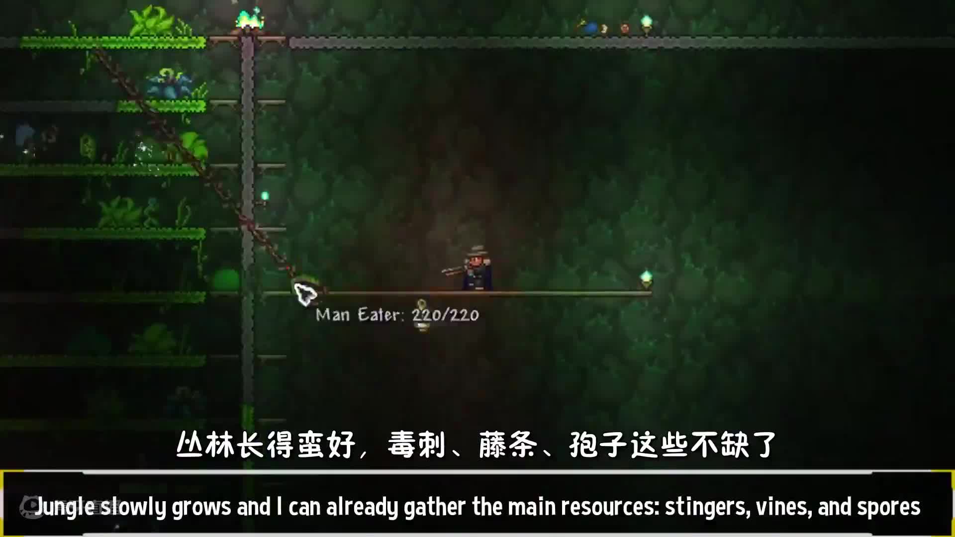 欢迎来到泰拉瑞亚黏黏世界的直播间