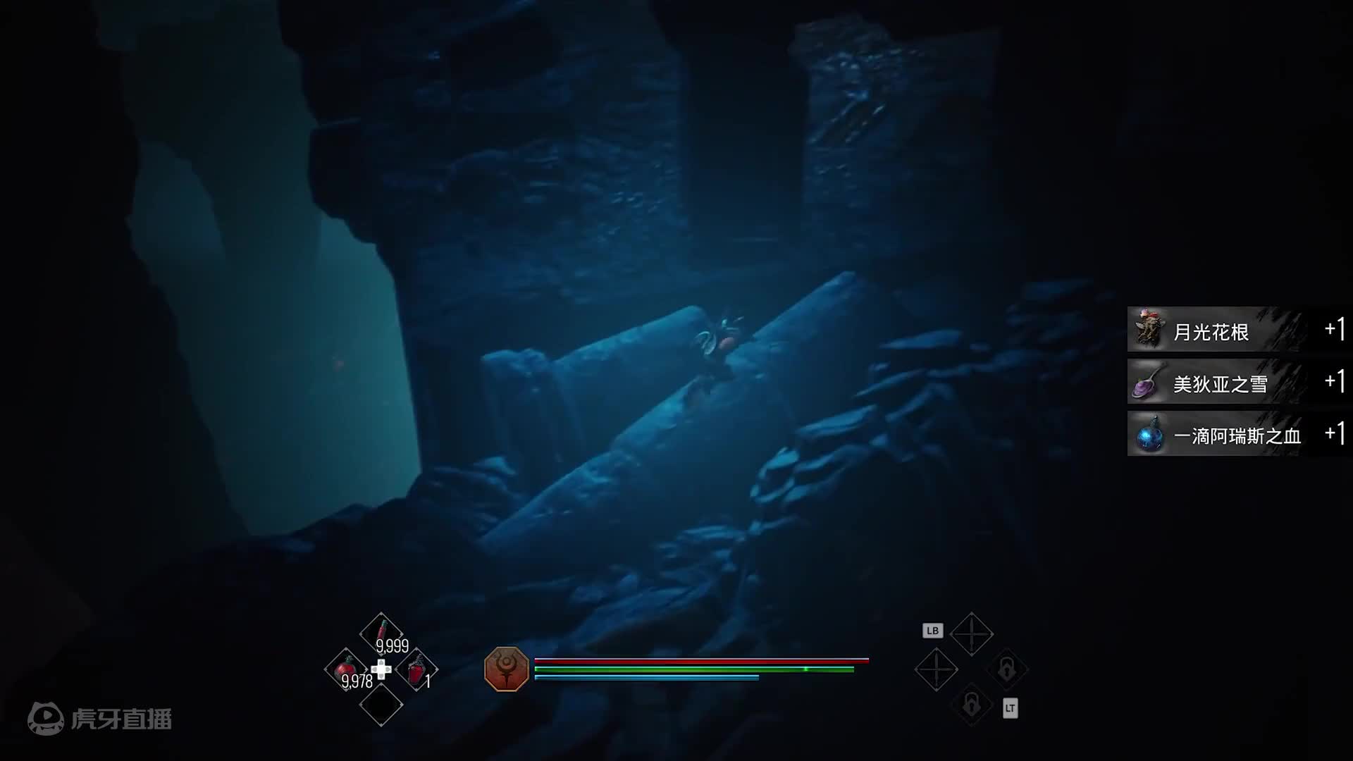 欢迎来到阿喀琉斯1的直播间