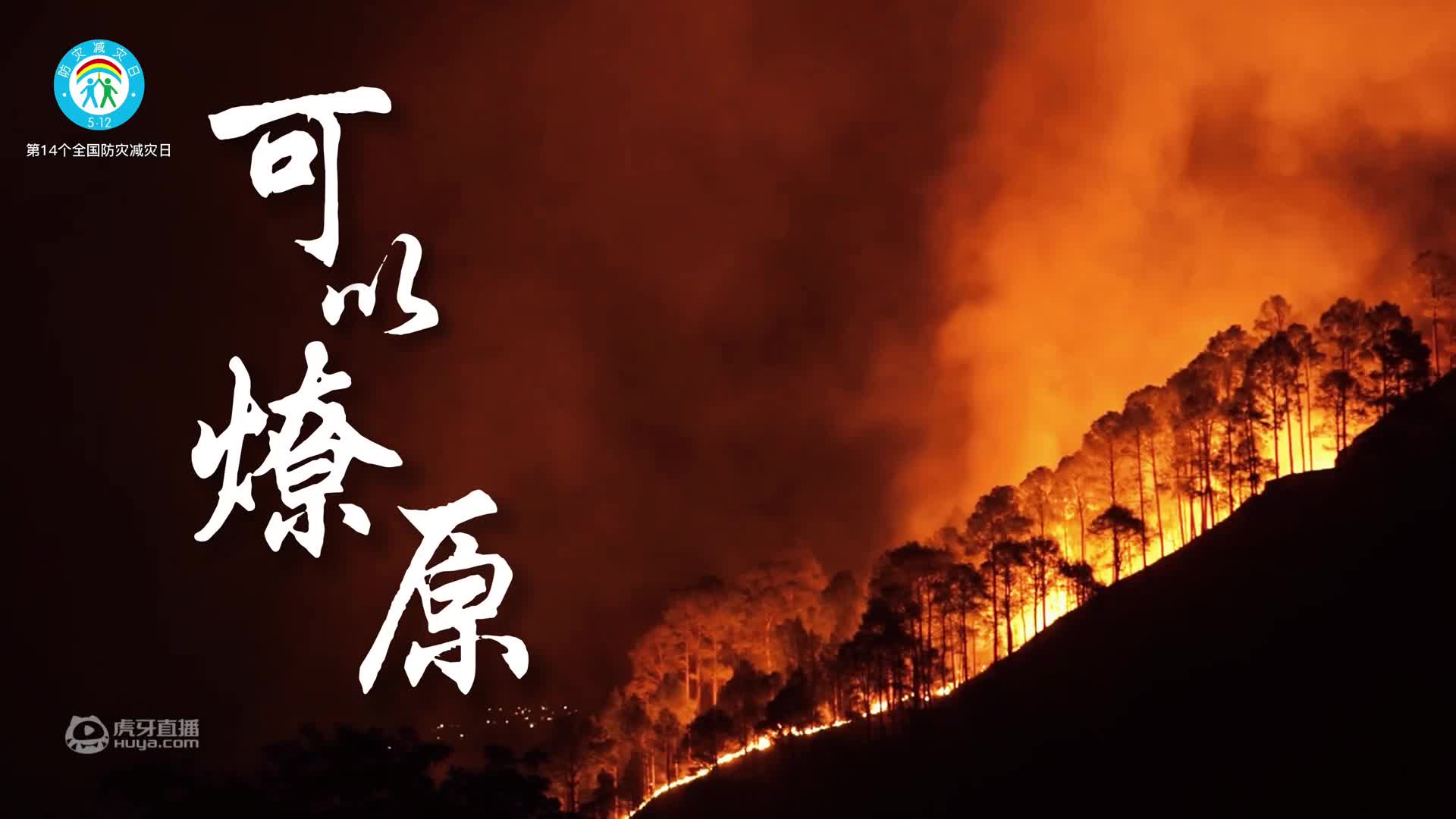 欢迎来到我是一颗小虎牙的直播间