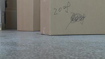 小虎牙-hBhMKQXMoI虎牙文化直播_小虎牙-hBhMKQXMoI視頻直播 - 虎牙直播