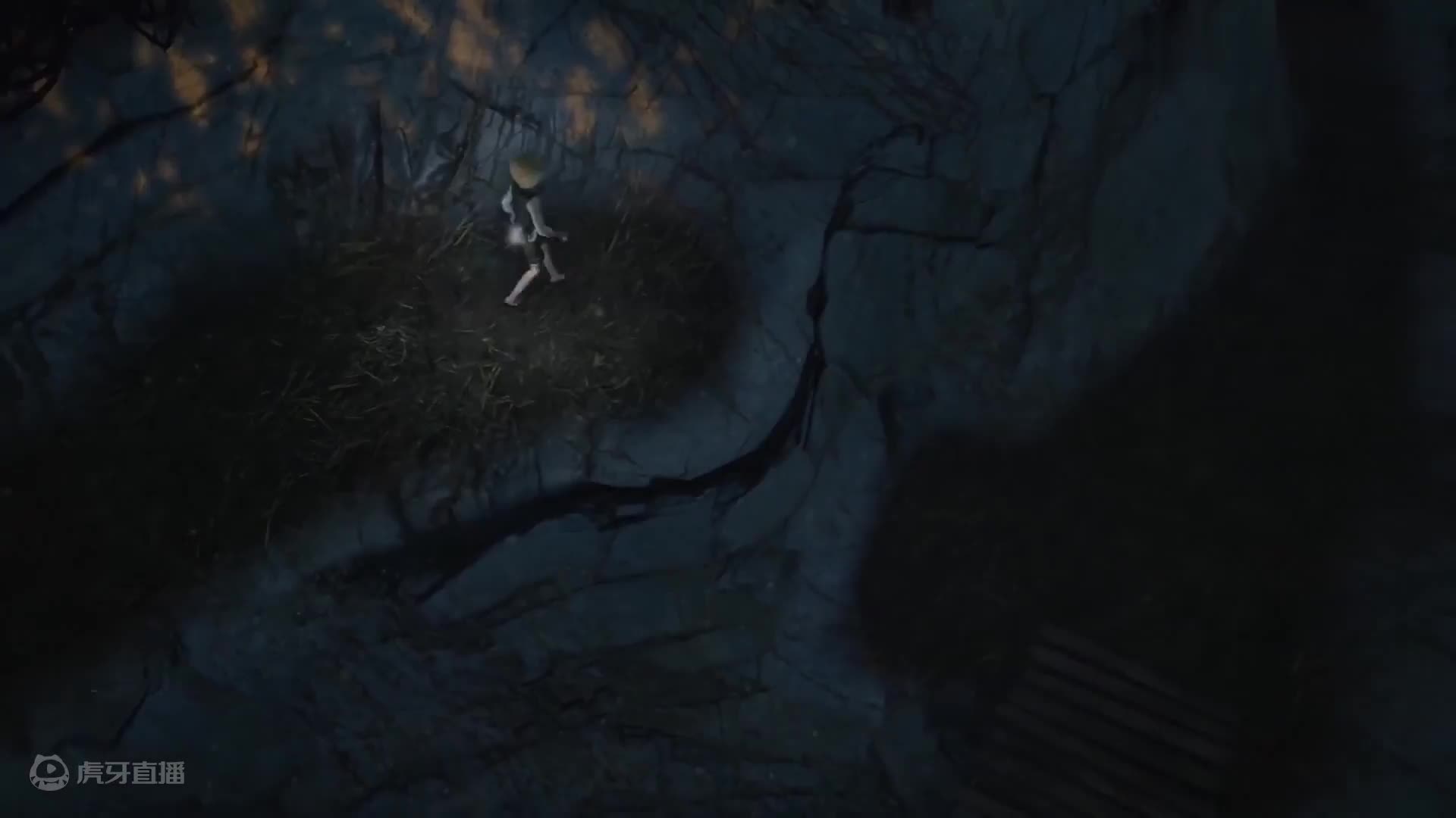 荆棘：群山之王 4K 最高画质