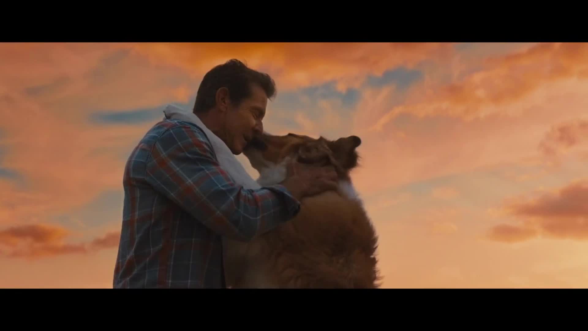 印度高分电影 看阿三哥开挂