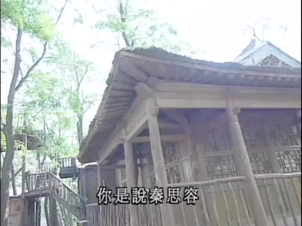 少年张君宝的传奇一生