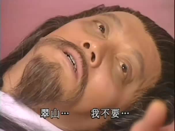 少年张君宝的传奇一生