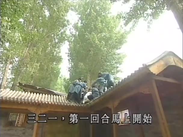 少年张君宝的传奇一生