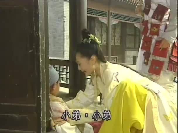 少年张君宝的传奇一生