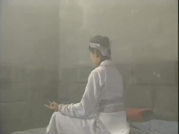 少年张君宝的传奇一生