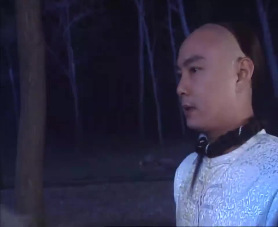 看過很多遍 特喜欢张卫健。