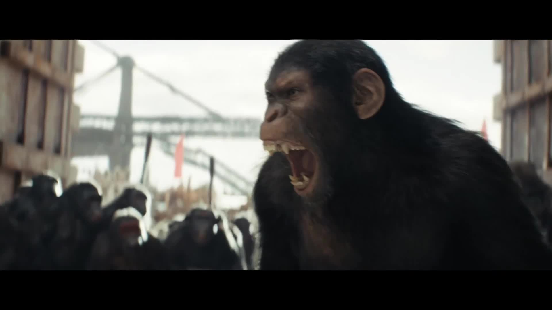 凯撒大帝的崛起之路