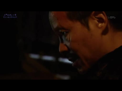 很蠢但是很好嗑