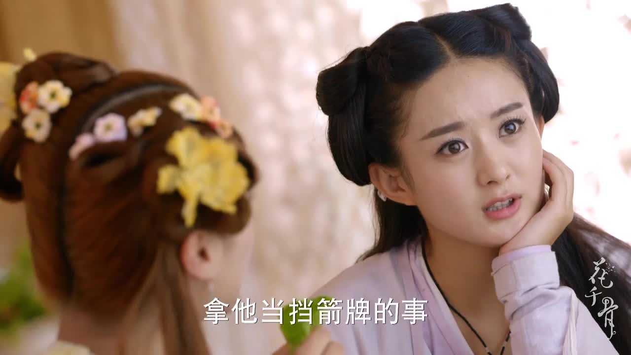 花千骨与白子画的虐恋情缘