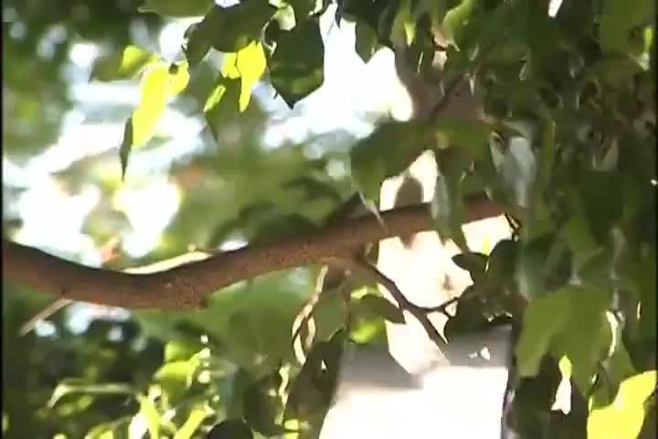 谁被这对 “真假千金” 骗了十几年？