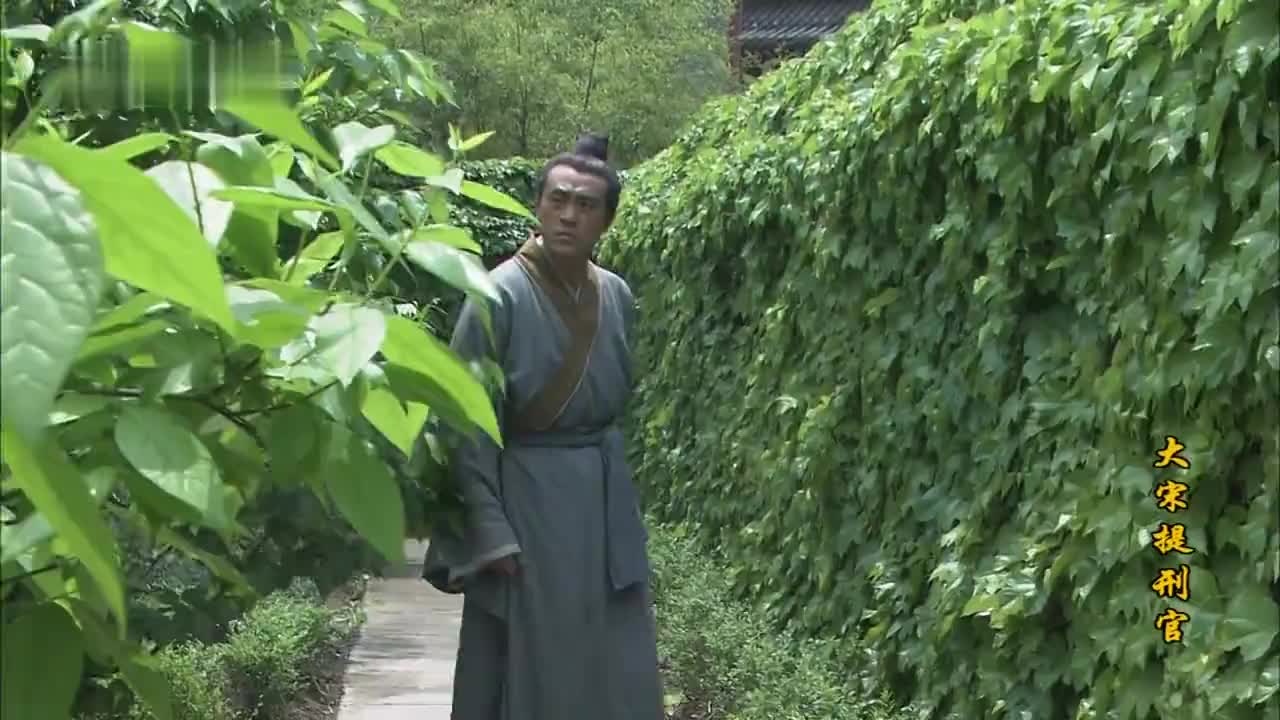 经典大宋悬案，童年回忆