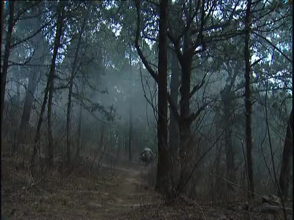 108好汉，梁山再会