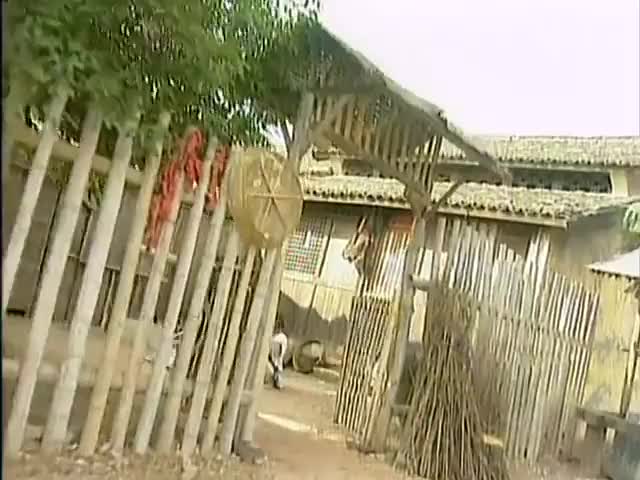 鲤鱼精小莲大闹人间