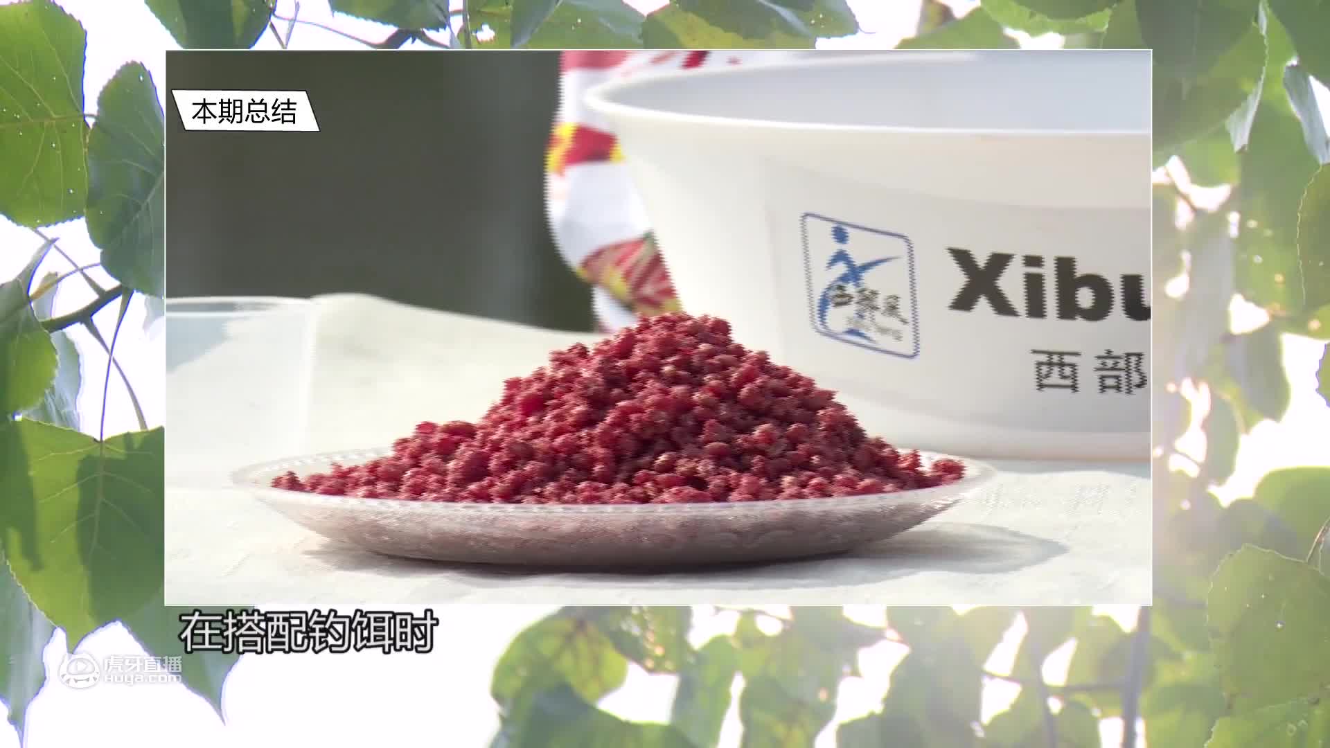（夏钓鲤之应变篇）第二段