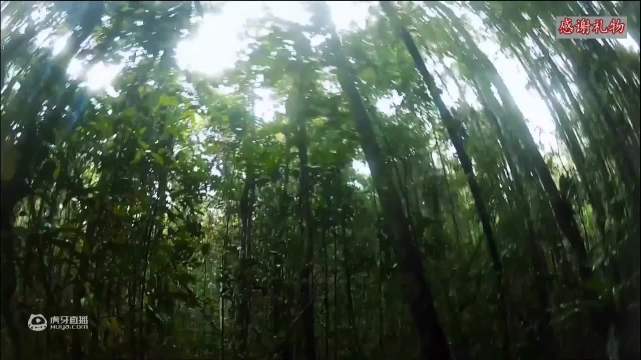 荒野挨饿德三天饿九顿