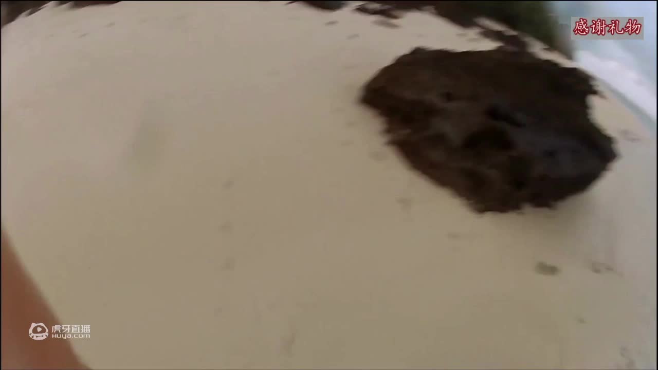 荒野挨饿德三天饿九顿