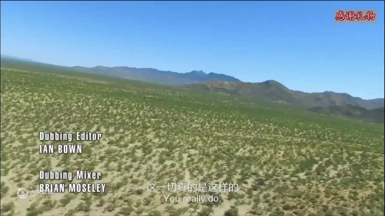 荒野挨饿德三天饿九顿