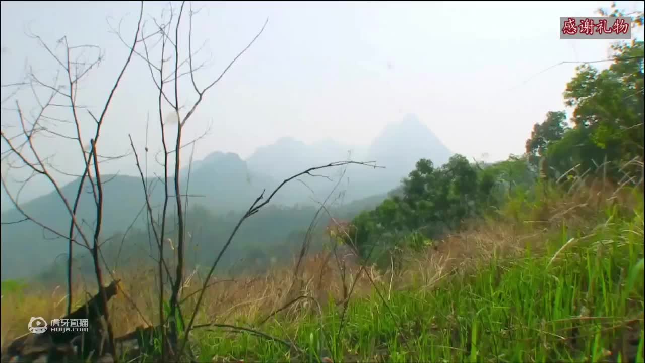 荒野挨饿德三天饿九顿