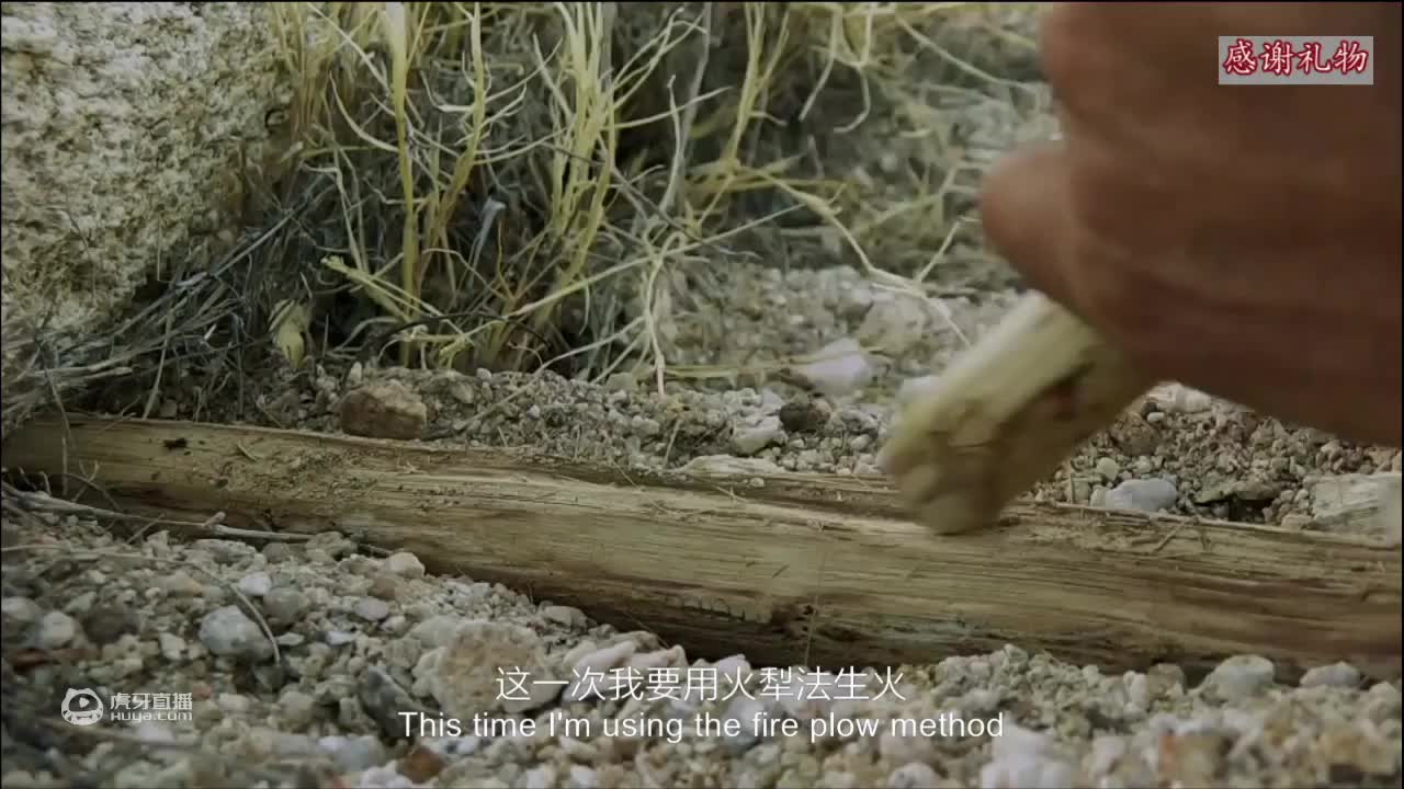 荒野挨饿德三天饿九顿