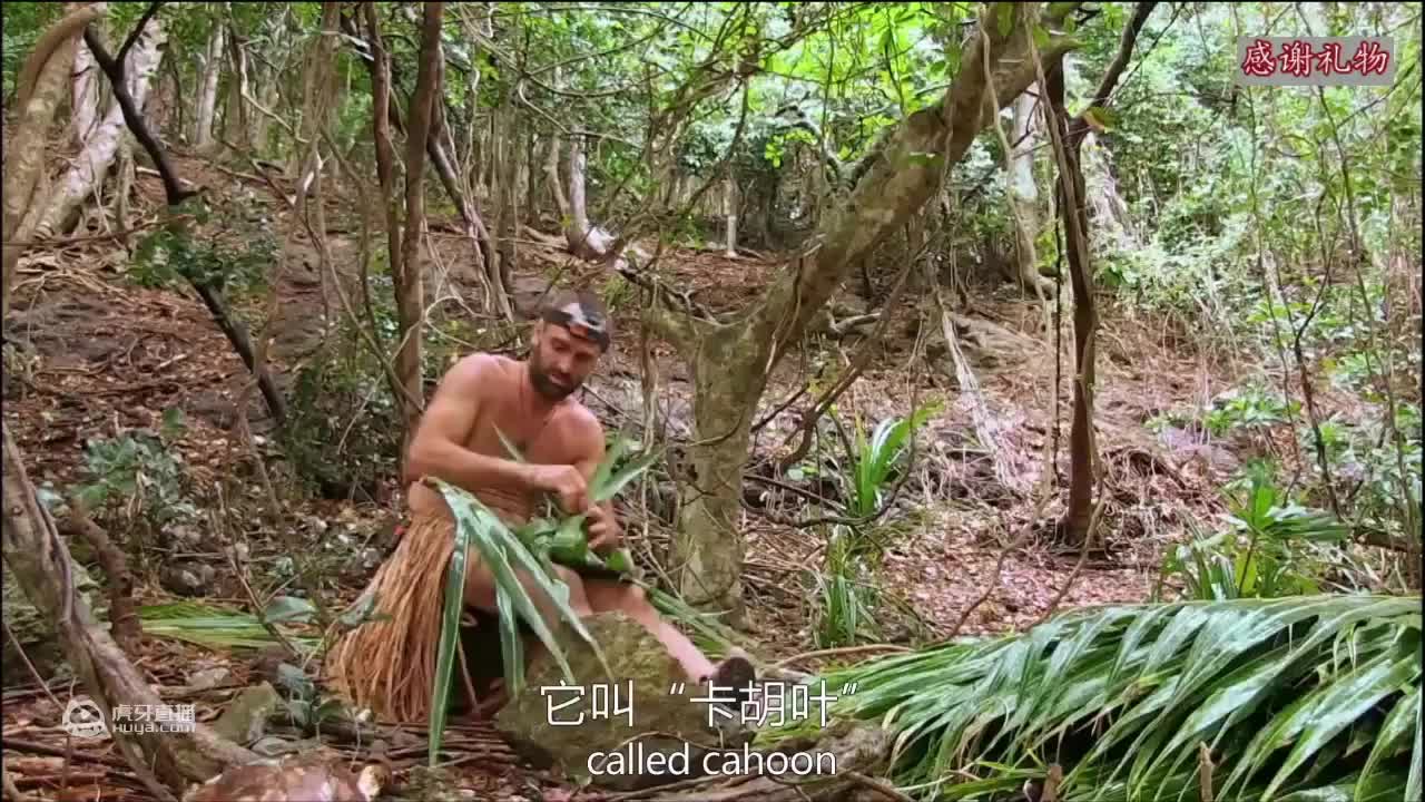 荒野挨饿德三天饿九顿