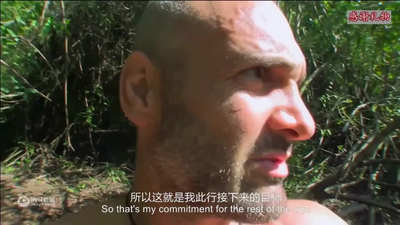 荒野挨饿德三天饿九顿