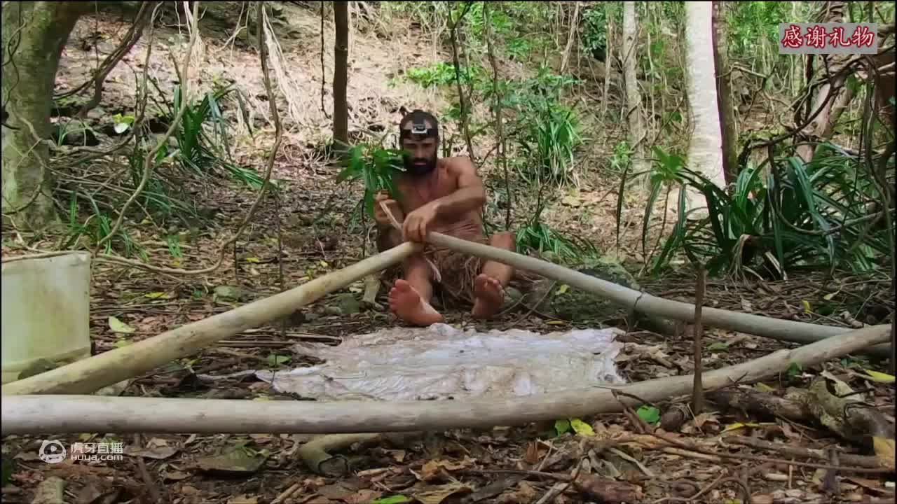 荒野挨饿德三天饿九顿