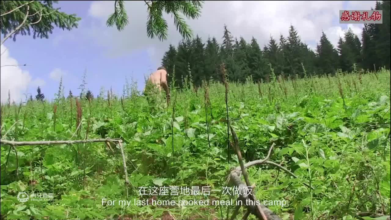荒野挨饿德三天饿九顿