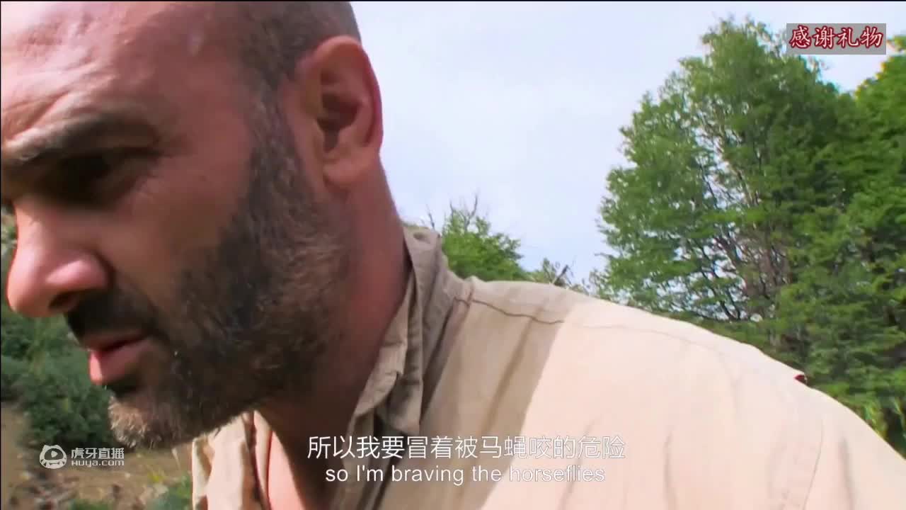 荒野挨饿德三天饿九顿