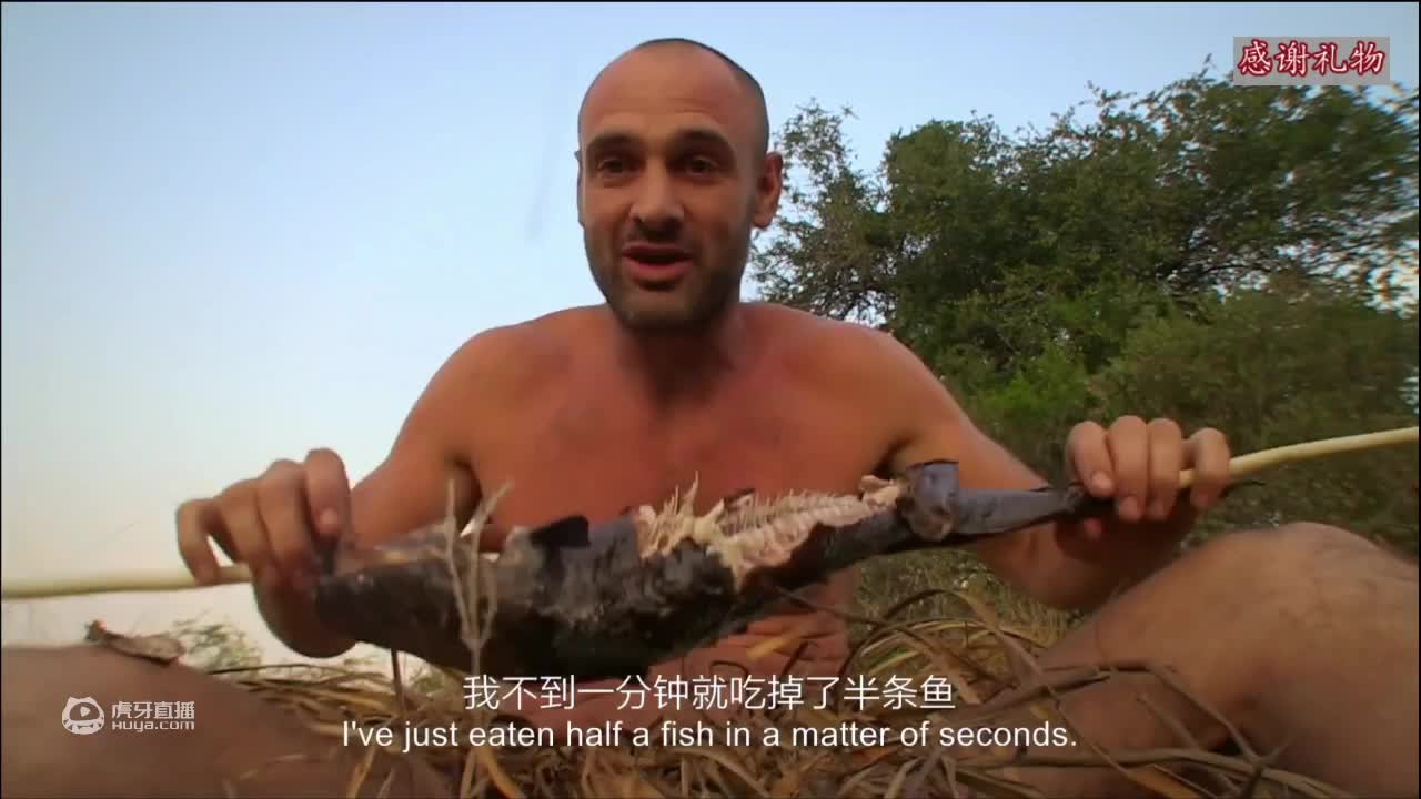 荒野挨饿德三天饿九顿