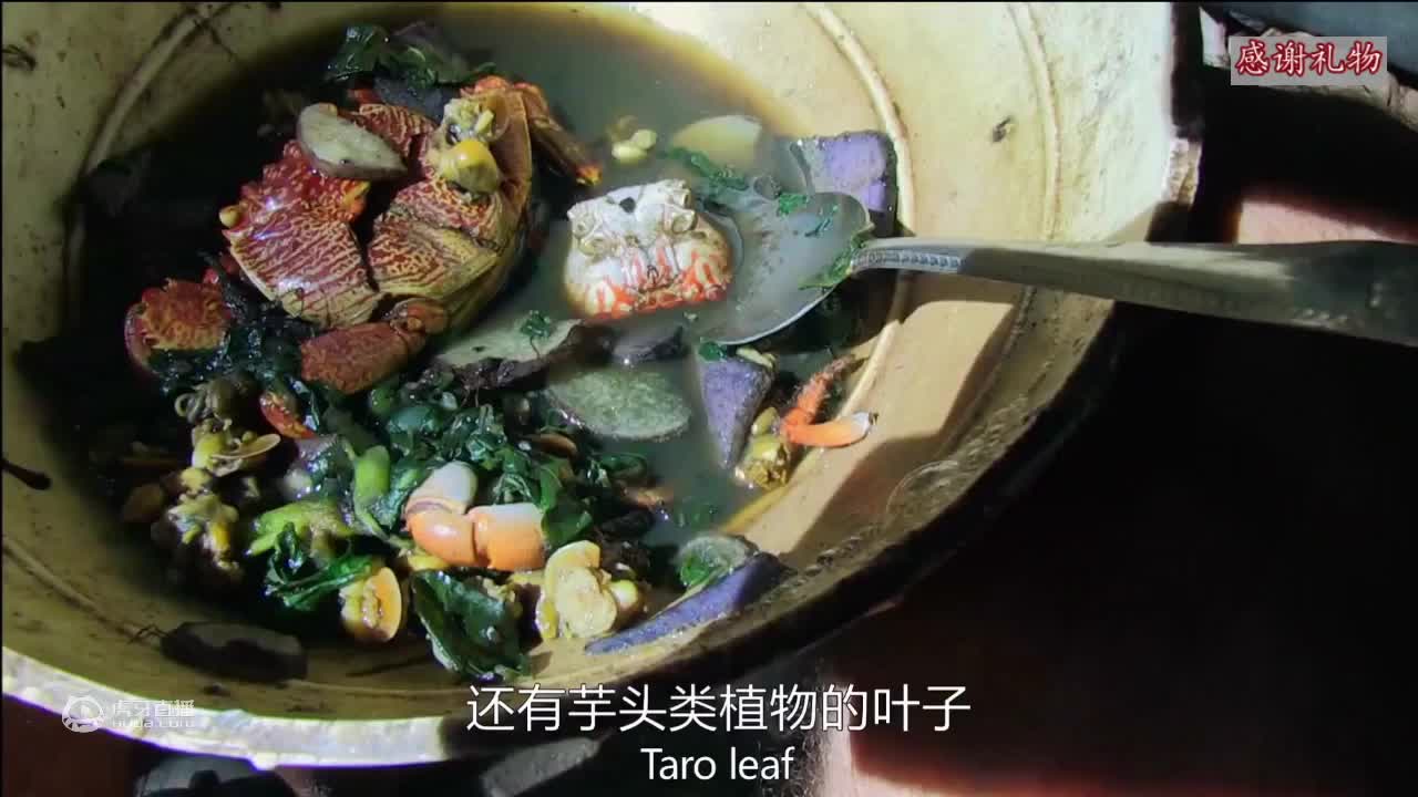 荒野挨饿德三天饿九顿