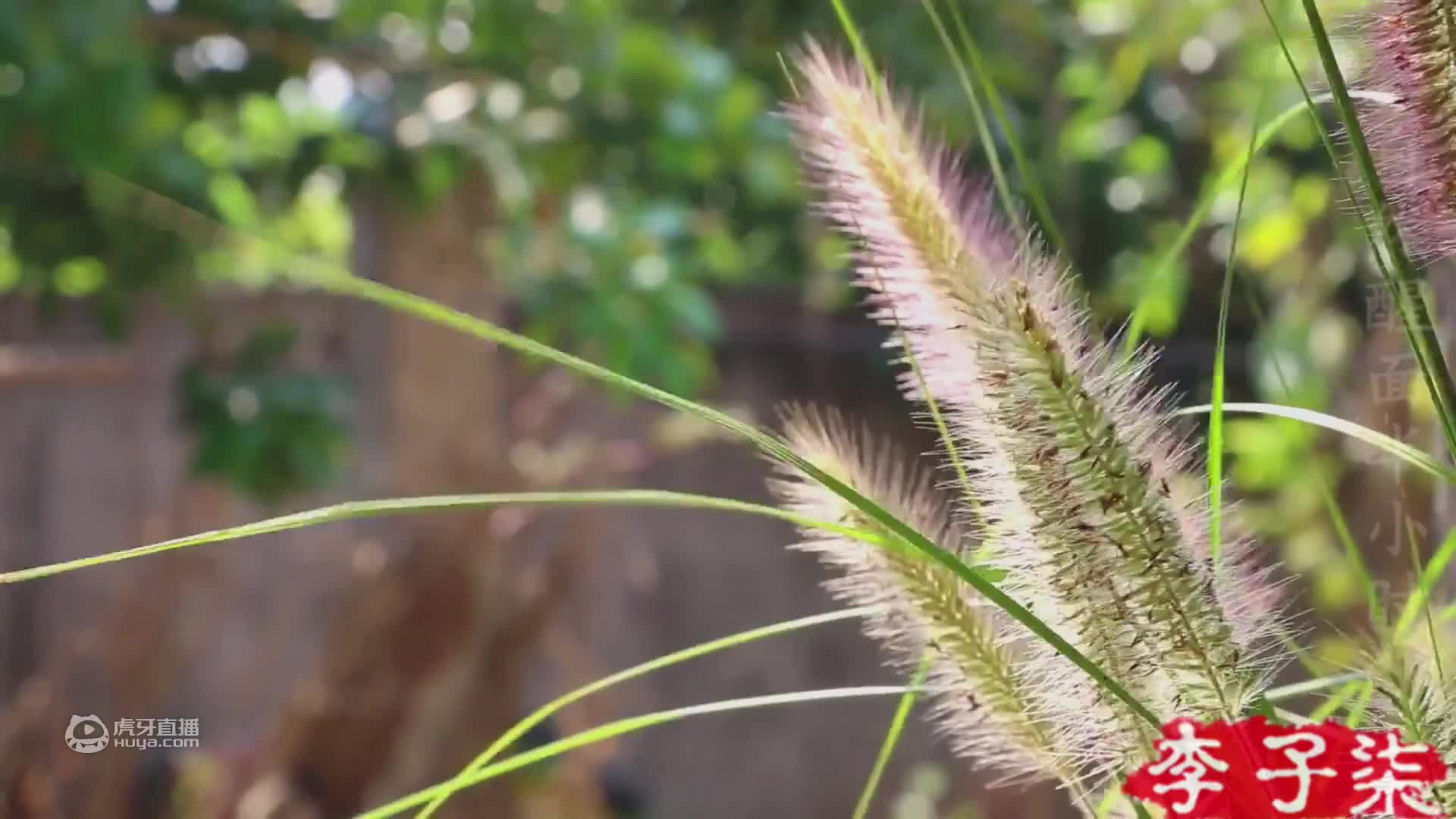 当腊味煲仔饭遇上胡椒猪肚鸡，你又以为有故事？还是没有！