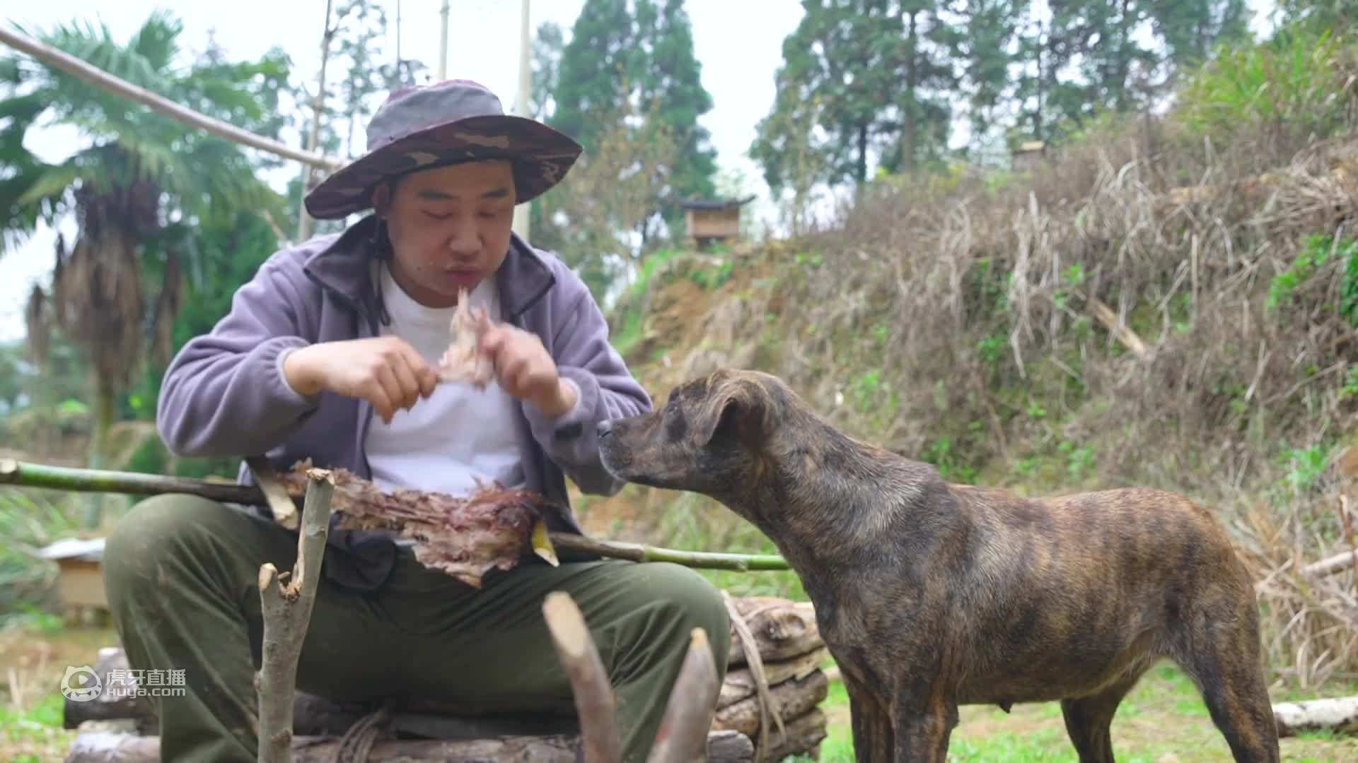 栀子花开，如此可爱