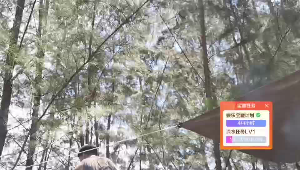 第三天