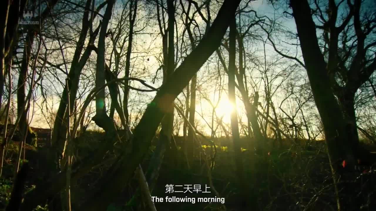 横跨山河的汽车狂欢：这场环球远征全程高能